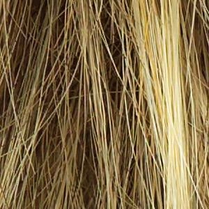 Ahead of the Curve Wig by Raquel Welch | Synthetic Lace Front (Mono)